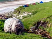 Achill Island, County Mayo